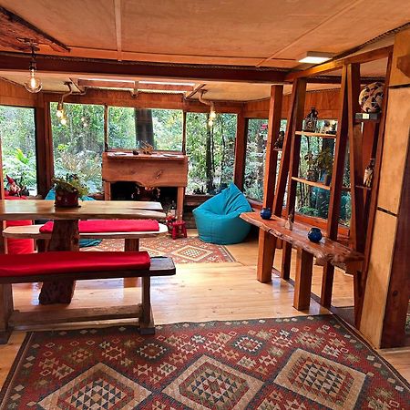 Cabanas Los Cantos Del Chucao 巴拉斯港 外观 照片