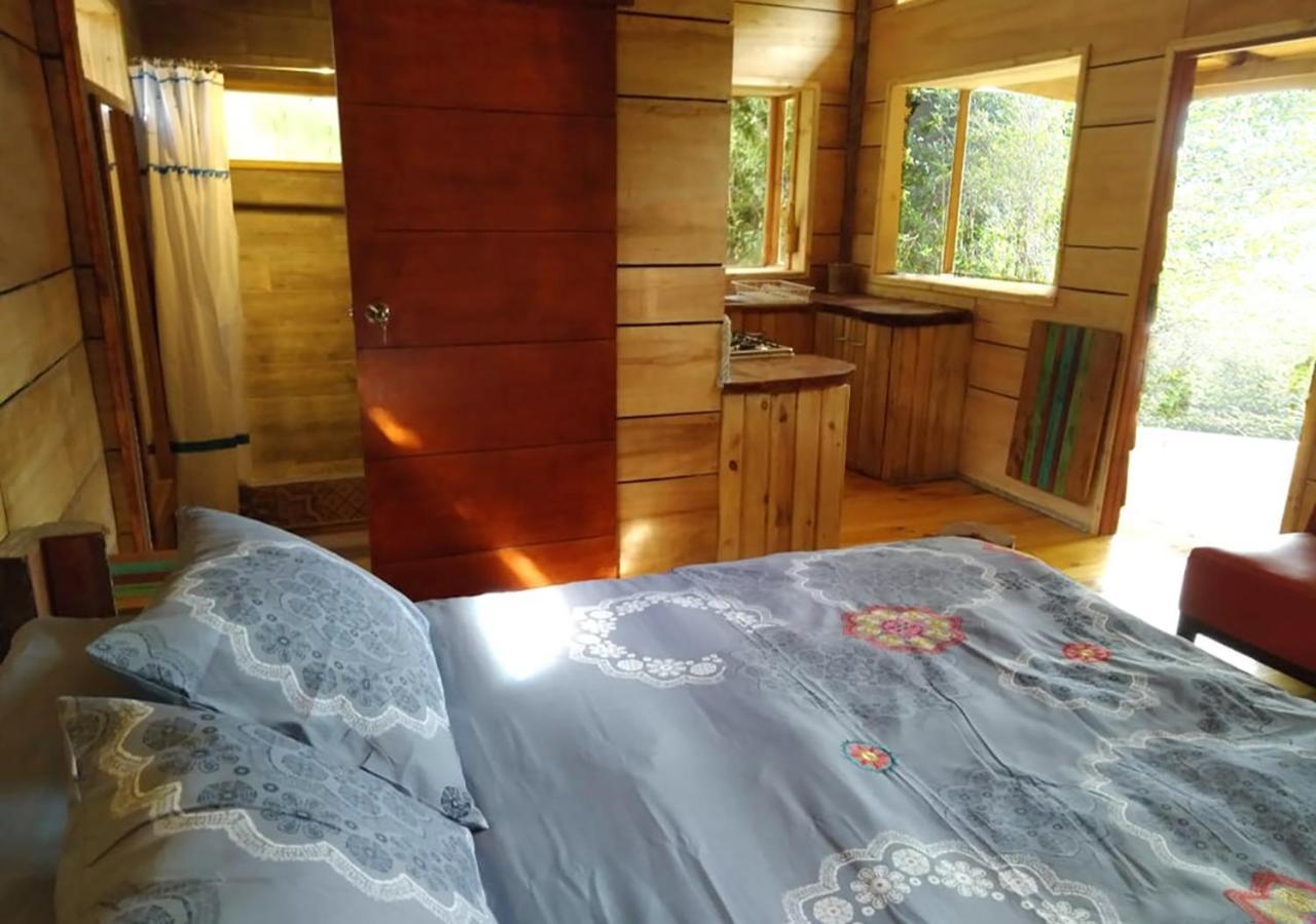 Cabanas Los Cantos Del Chucao 巴拉斯港 外观 照片