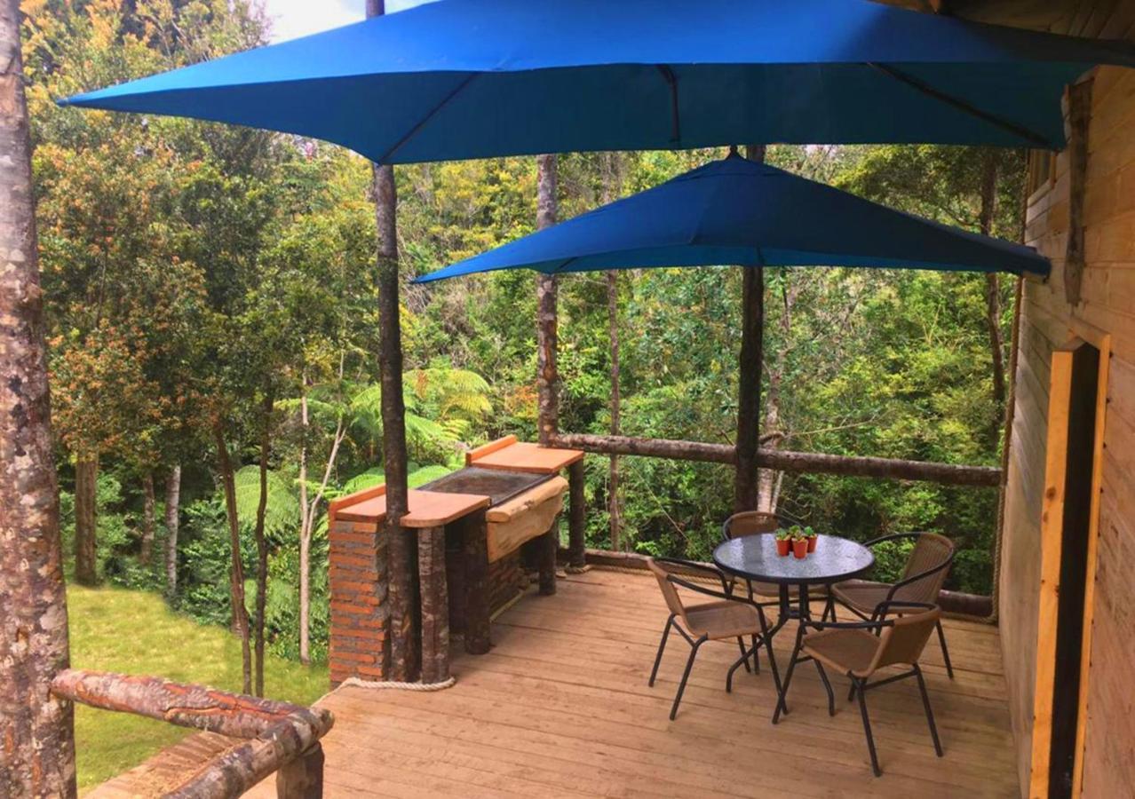 Cabanas Los Cantos Del Chucao 巴拉斯港 外观 照片