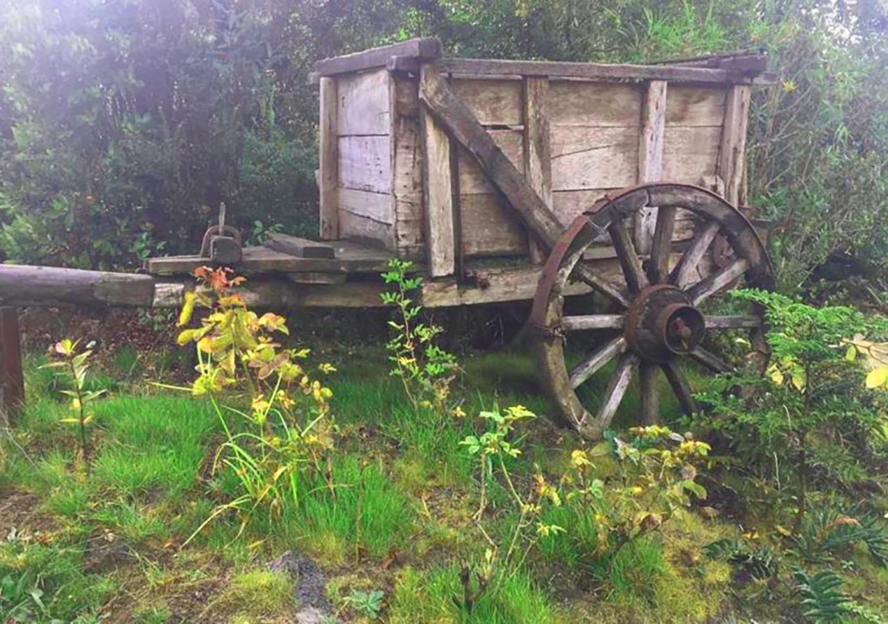 Cabanas Los Cantos Del Chucao 巴拉斯港 外观 照片