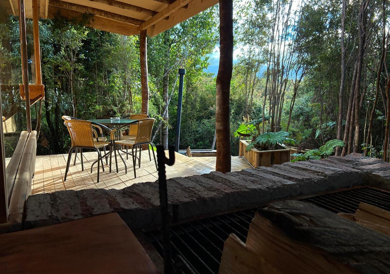 Cabanas Los Cantos Del Chucao 巴拉斯港 外观 照片