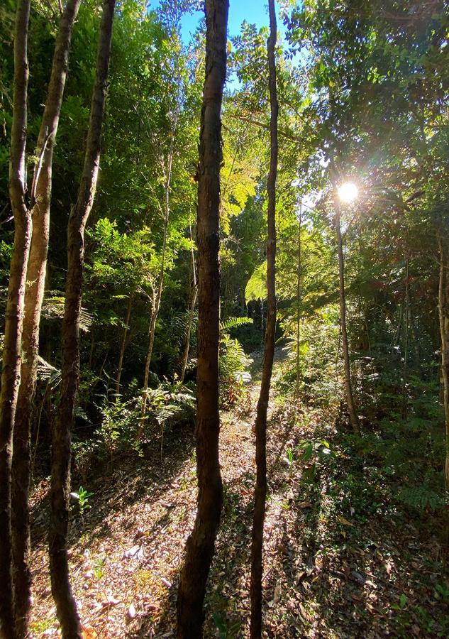 Cabanas Los Cantos Del Chucao 巴拉斯港 外观 照片