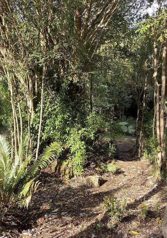 Cabanas Los Cantos Del Chucao 巴拉斯港 外观 照片