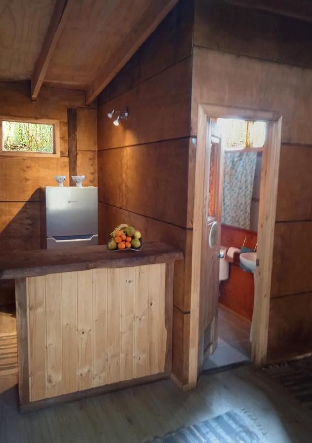 Cabanas Los Cantos Del Chucao 巴拉斯港 外观 照片