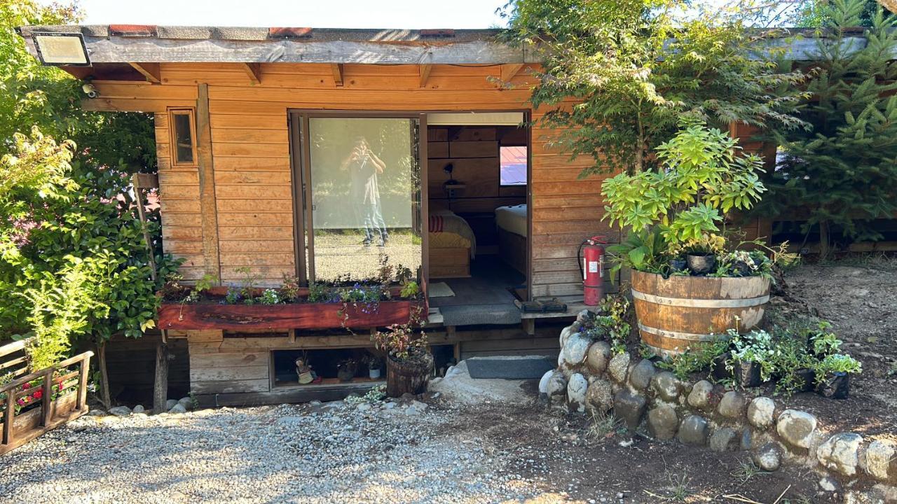 Cabanas Los Cantos Del Chucao 巴拉斯港 外观 照片