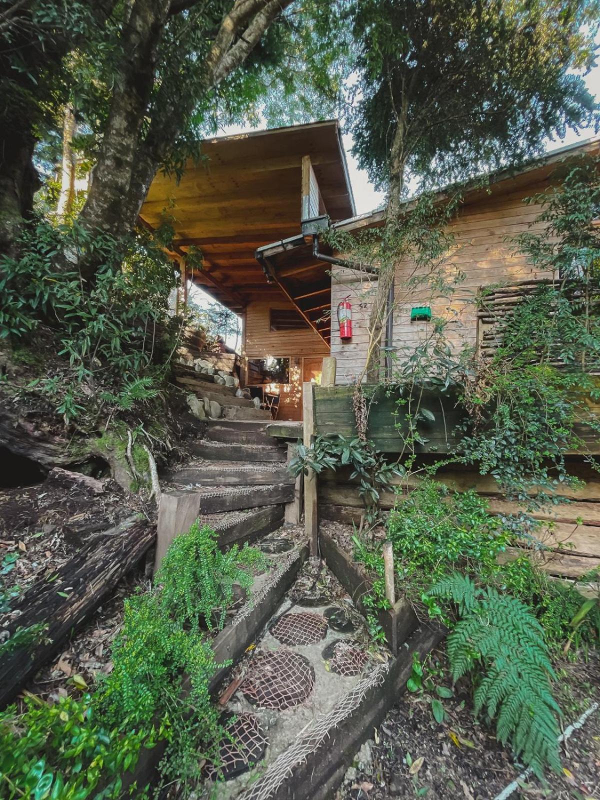 Cabanas Los Cantos Del Chucao 巴拉斯港 外观 照片
