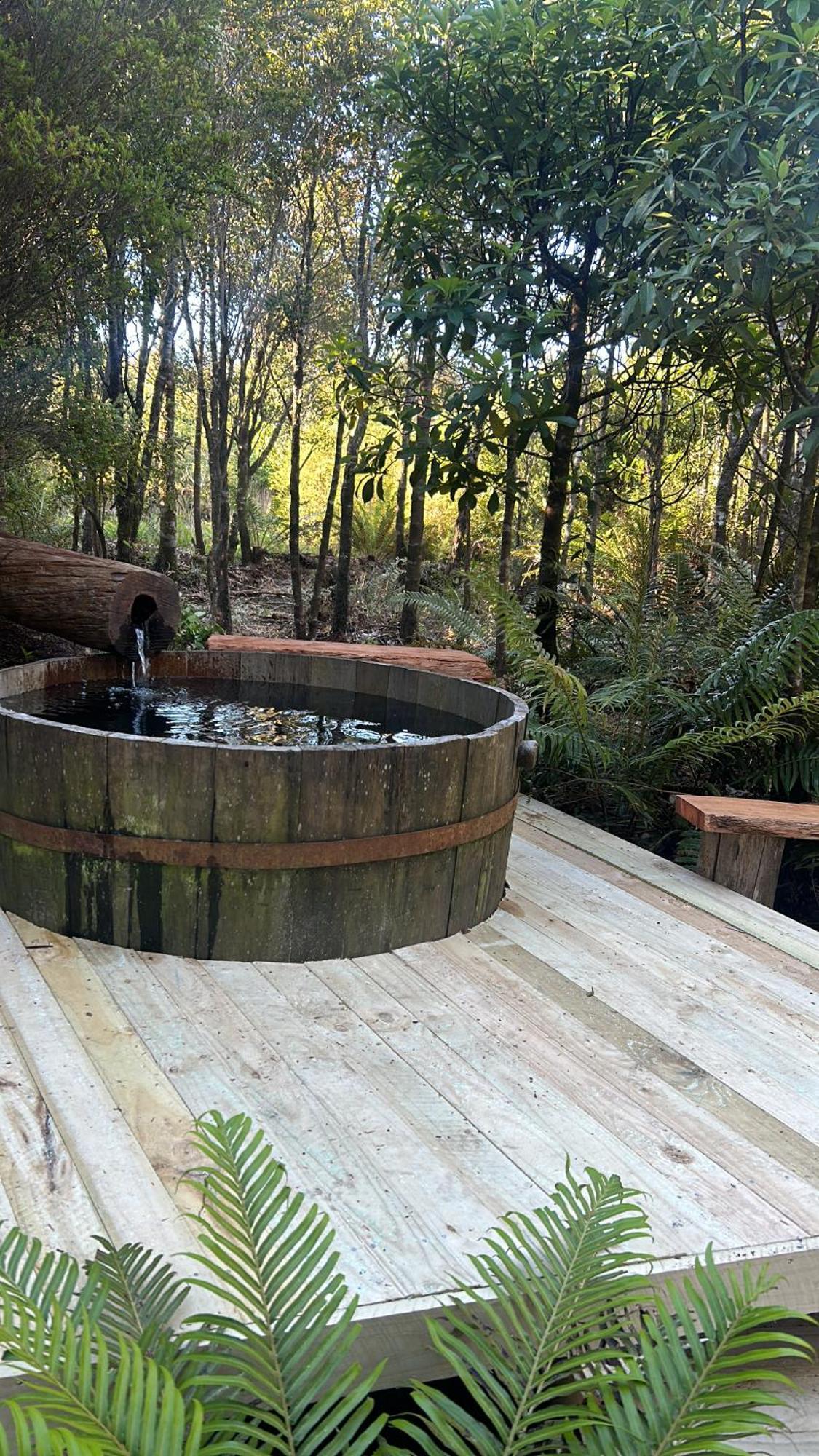 Cabanas Los Cantos Del Chucao 巴拉斯港 外观 照片
